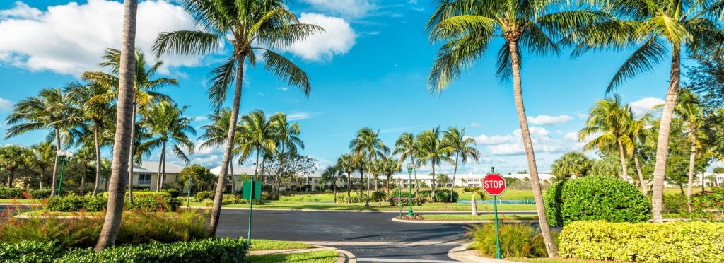Development in a gated community in Los Cabos with palm trees and golf course