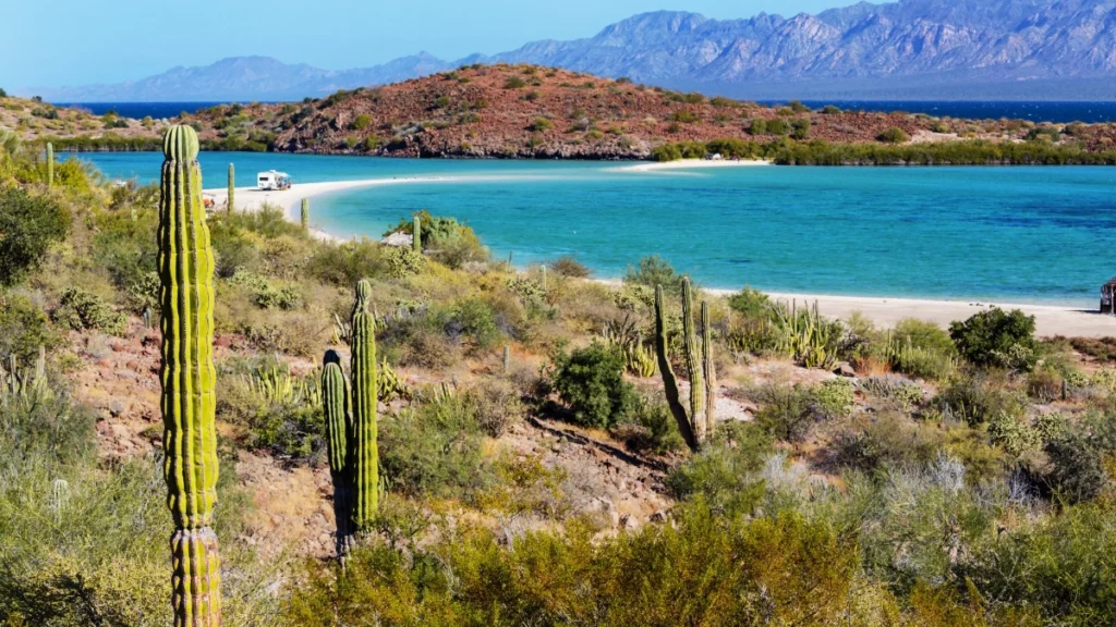 baja-california-sur-sea-of-cortez - Berkshire Hathaway HomeServices Baja Real Estate