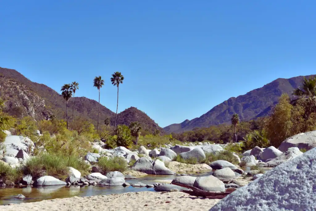 la-ventana-desert-mountains-baja-hiking-nature - Berkshire Hathaway HomeServices Baja Real Estate